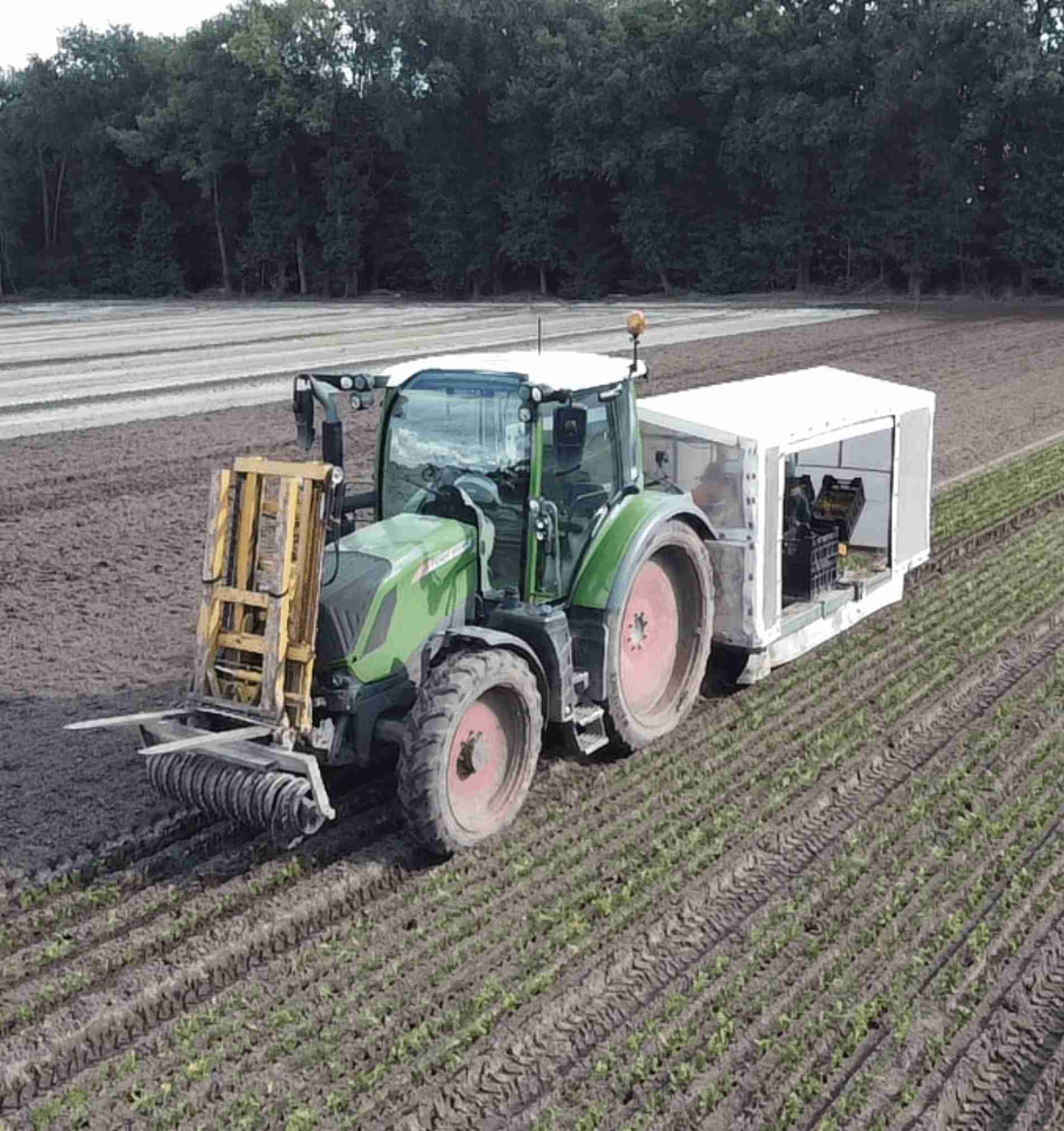 Groene tractor van Aalst Tuinplanten plant jonge haagplanten in lange rijen op een akker, met een planter voor efficiënt transport en beplanting.